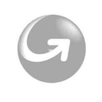 moneygram logo gris