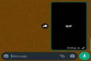 GIF enviado con éxito en chat de sistema Android