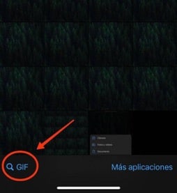 Opción de GIF en sistema iOS