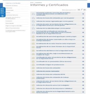 opción de informe y certificados en la página de la sede electrónica de la Seguridad Social.)